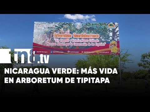 Nicaragua más verde: Nuevas especies para arboretum de Tipitapa
