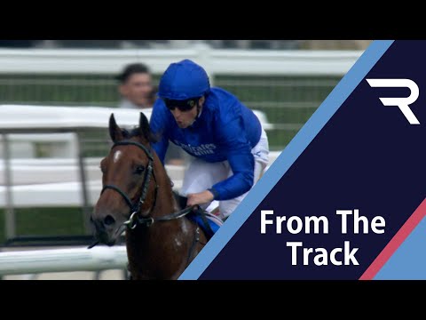 Horse Riding 🐎 Wow! MAN OF PROMISE routs the field in the Group 3 Nad Al Sheba Turf Sprint at Meydan - Racing TV