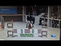Show jumping horse Emerald merrieveulen uit 1.40m bloedlijn