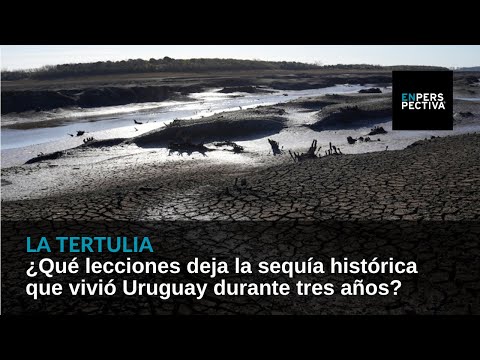 ¿Qué lecciones deja la sequía histórica que vivió Uruguay durante tres años?