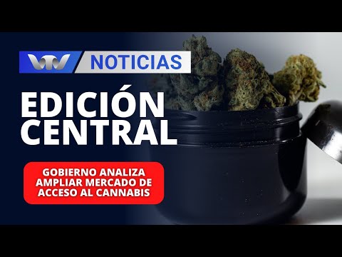 Edición Central 22/01 | Gobierno analiza ampliar mercado de acceso al cannabis