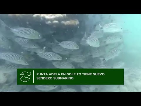 Golfito estrena sendero submarino para snorkel