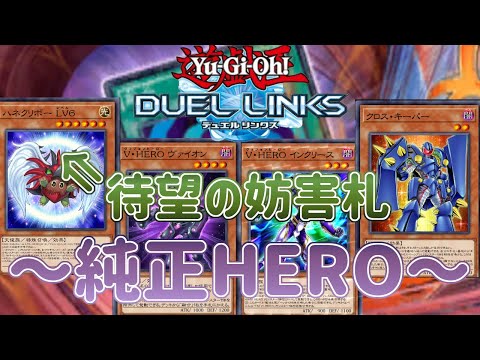 【HERO】念願の妨害札（ハネクリボーLv.6）が実装！純正も超絶強化されてますよ！【遊戯王デュエルリンクス】