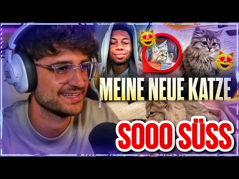 SIDNEY‘S NEUE KATZE IST SOO SCHÖN!😍😭 Neue Freundin für Manni?🌚