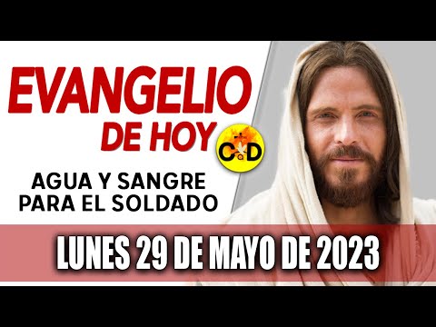 Evangelio de Hoy Lunes 29 de Mayo de 2023 LECTURAS del día y REFLEXIÓN | Católico al Día