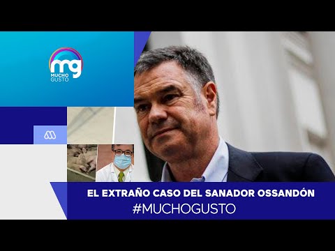 El extraño caso del senador Ossandón con Covid-19 - Mucho Gusto 2020
