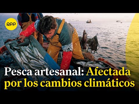 La pesca artesanal se ve afectada por el cambio climático
