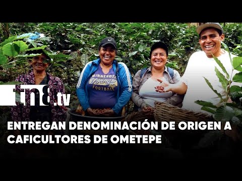 Entregan oficialmente denominación de origen a caficultores de la Isla de Ometepe