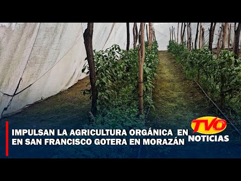Impulsan la agricultura orgánica en San Francisco Gotera, Morazán.