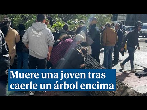 Muere una joven por la caída de un árbol en Madrid cuando cruzaba un paso de cebra
