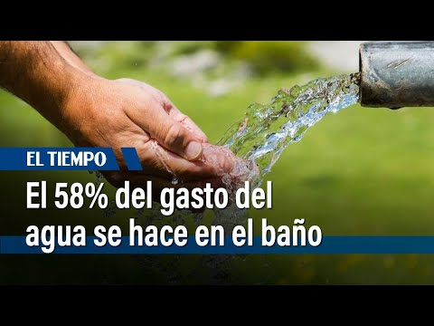 Día mundial del agua: el gasto en Bogotá supera los 85 millones de litros | El Tiempo