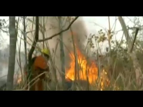Bomberos trabajan arduamente en el combate de incendios forestales