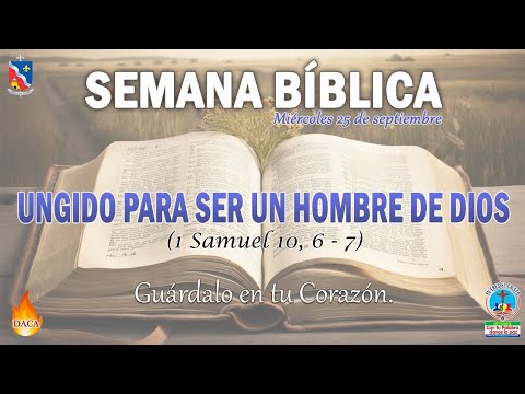 Caminando con la Palabra de Dios. Miércoles 25 de septiembre 2024