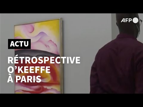 Première rétrospective parisienne pour l'icône américaine Georgia O'Keeffe | AFP