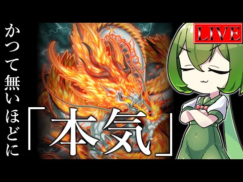 DC間近の天盃龍コソ練部【 遊戯王マスターデュエル】