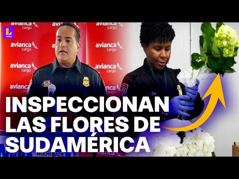 Estados Unidos realiza control y revisión de flores de Latinoamérica: ¿A qué se debe la medida?