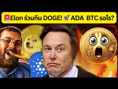 🚨Elonร่วมทีมDOGE!🚀ADA&Bi