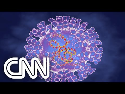Transmissibilidade da varíola dos macacos chama a atenção, diz infectologista | CNN PRIME TIME