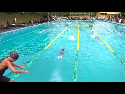 Competencia nacional de natación escolar es semillero de campeones