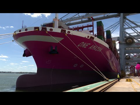 Imágenes de llegada al puerto de Montevideo del buque Amazon, de la naviera ONE