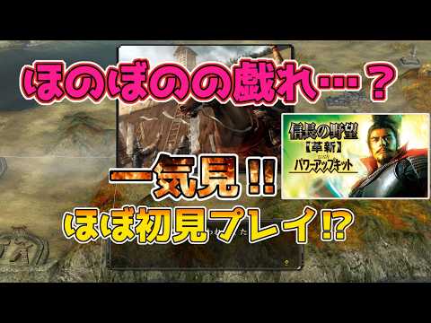＜信長の野望・革新PK＞ほのぼの過去に立つ？（里見家、一気見）