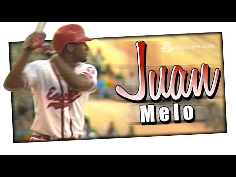 DEL BÚL: Despertar bates rojos - Tigres y Leones - #3 - (SR - Enero 1999)