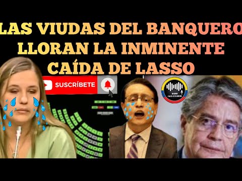 LAS VIUDAS DEL BANQUERO SALEN A LL0R4R LA INMINENTE CAIDA DE LASSO NOTICIAS RFE TV