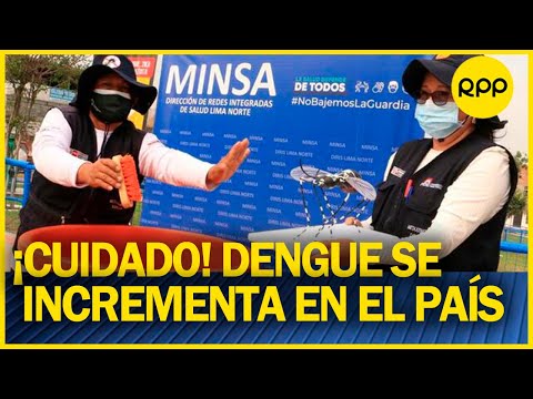 Perú: Se incrementan casos de dengue ¿Cómo debemos cuidarnos?