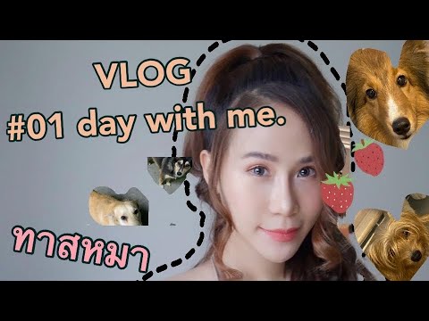 Vlog01อยู่บ้าน-การใช้ชีวิตใน1ว Vlog01อยู่บ้าน-การใช้ชีวิตใน1ว