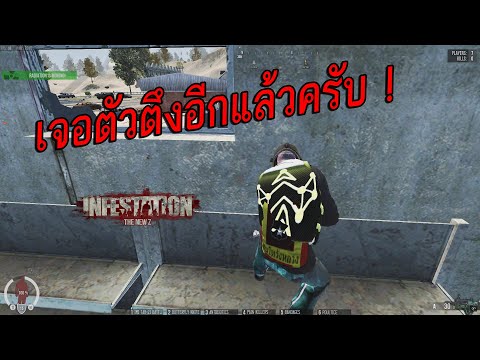 NewZ-โปรตึงๆเต็มเซิฟ!