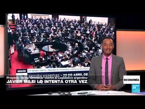 La Ley Ómnibus vuelve a ser debatida en el Congreso argentino en una sesión maratónica • FRANCE 24