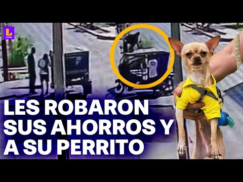 San Martín de Porres: Delincuentes se llevan a perro 'Marianito' en asalto a casa