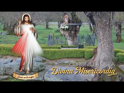 Coronilla a la Divina Misericordia en el 2º Domingo de Pascua de la Divina Misericordia