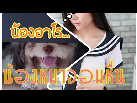 น้องหมาจอมหื่น-(น้องอาโร) น้องหมาจอมหื่น-(น้องอาโร)
