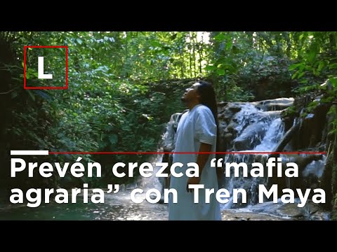 Prevén crezca “mafia agraria” con Tren Maya