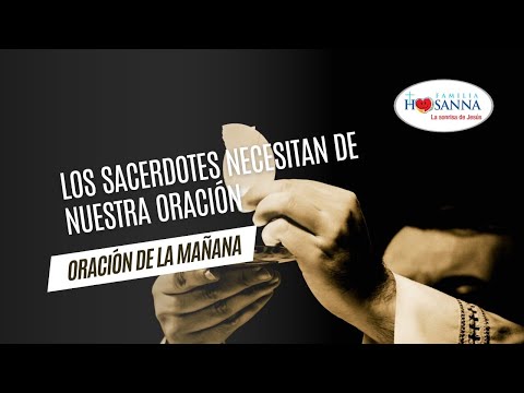 Los Sacerdotes necesitan de nuestra oración #Evangelio?DeHoy,  Domingo 21 Julio 2024 #PadreJohn #FH