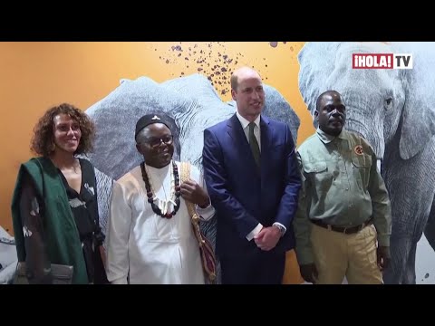 El príncipe de Gales entrega los premios Tusk a la conservación en África | ¡HOLA! TV