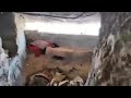 الفرقة الأولى من قوات الطوارئ اليمنية تنشر مشاهد لتحصينات وخنادق أنشأتها المليشيا داخل معسكر اللبنات