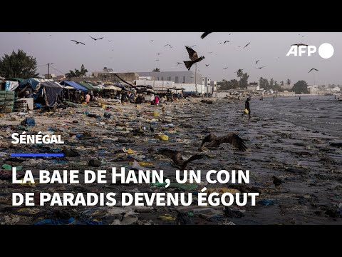 Sénagal: la baie de Hann, coin de paradis devenu égout de Dakar, attend d'être dépolluée | AFP