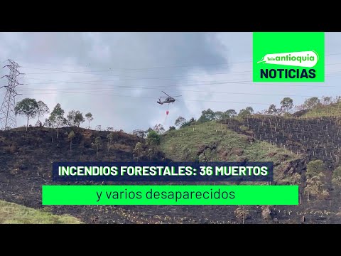 Incendios forestales: 36 muertos y varios desaparecidos - Teleantioquia Noticias