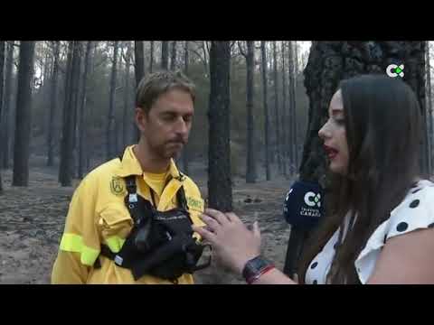 Declaraciones de Francisco Moreno, técnico de la BRIFOR sobre el estado del fuego