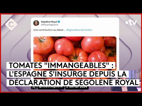 Tomates, agriculteurs et Amélie Oudéa-Castéra - Le 5/5 - C à Vous - 02/02/2024