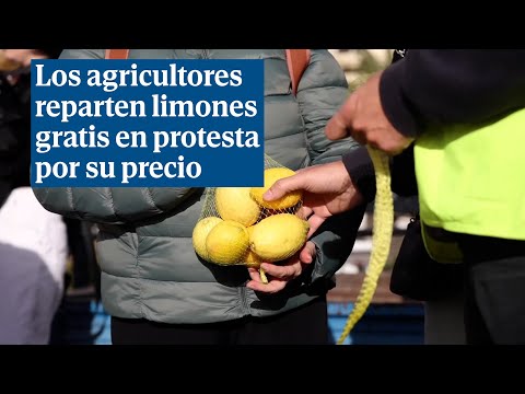 Los agricultores reparten limones gratis en protesta por su precio
