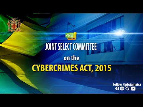 Joint Select Committee on the Cybercrimes Act, 2015 - April 19, 2023
