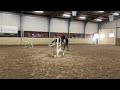 Springpaard Getalenteerd 3,5 jarig springpaard te koop