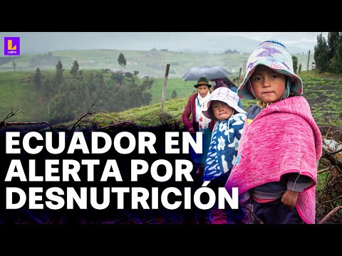 Ecuador en alerta por cifras de desnutrición infantil: Afecta al 20% de los menores de 5 años