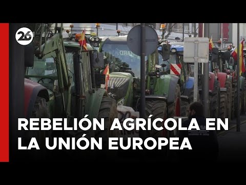 Peligra el acuerdo entre el Mercosur y la Unión Europea