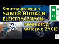 Smutna prawda o autach na prd. Producenci walcz o ycie