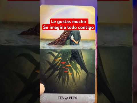 Horóscopo de hoy #shortvideo #shortsfeed #fyp #tarot #amor #shortsamor #shortstarot