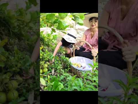 ทำ-lemonade-กัน ทำ-lemonade-กัน